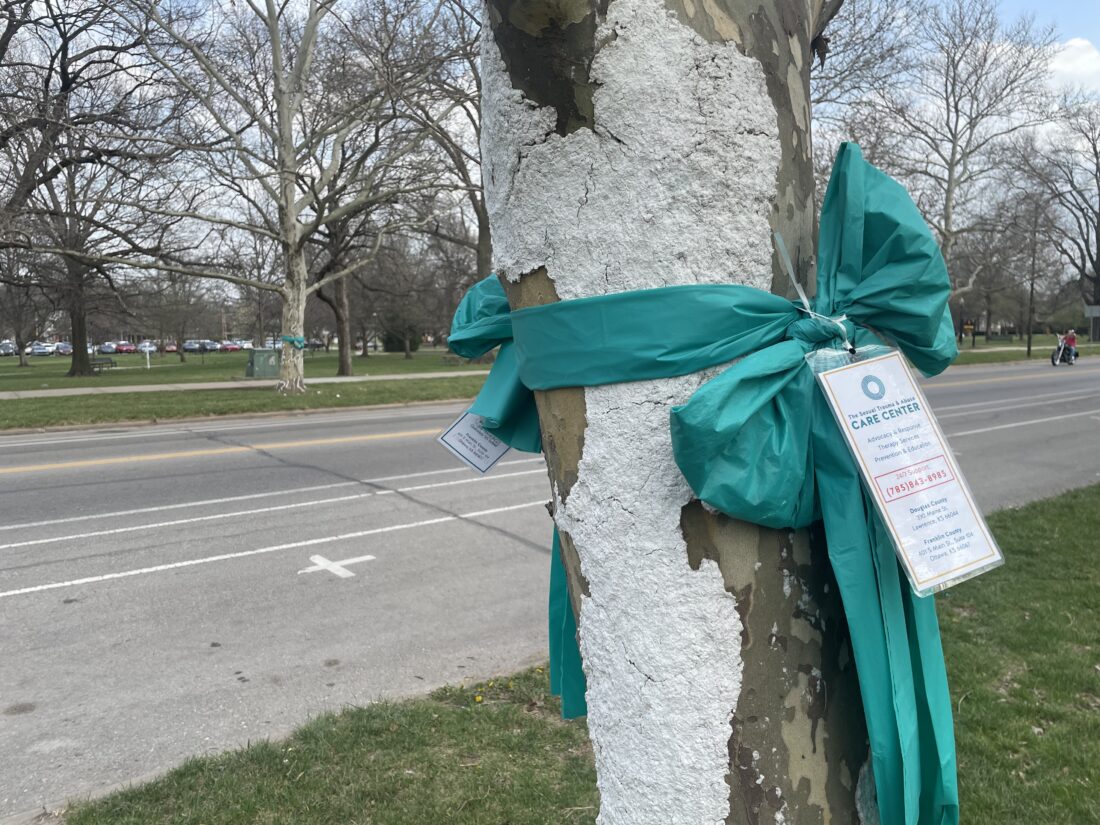 Nonprofit plans a full slate of events for Sexual Assault Awareness Month, including trivia, art auction, vigil for survivors